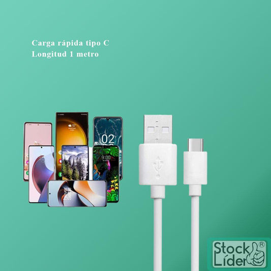 Cabo tipo C 1m